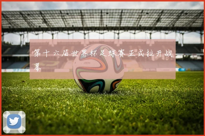 第十六届世界杯足球赛正式拉开战幕