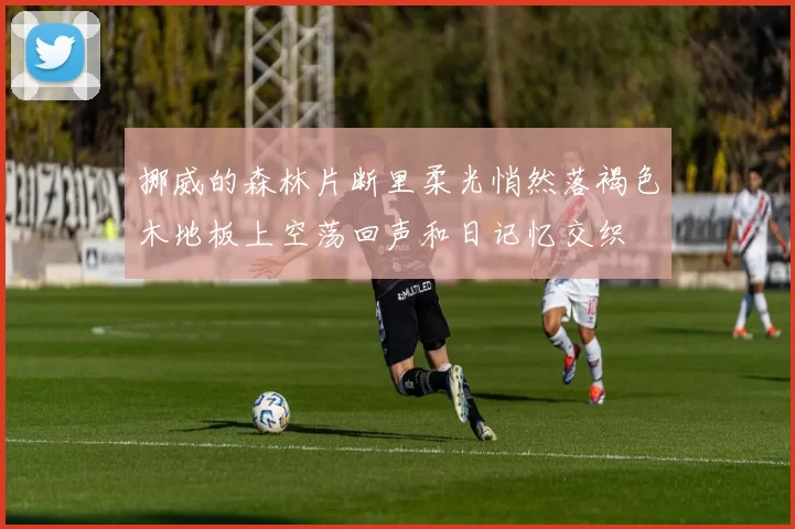 挪威的森林片断里柔光悄然落褐色木地板上空荡回声和日记忆交织