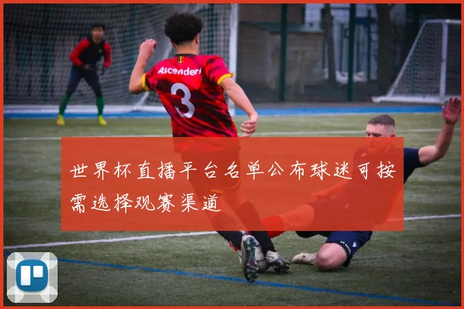 世界杯直播平台名单公布球迷可按需选择观赛渠道