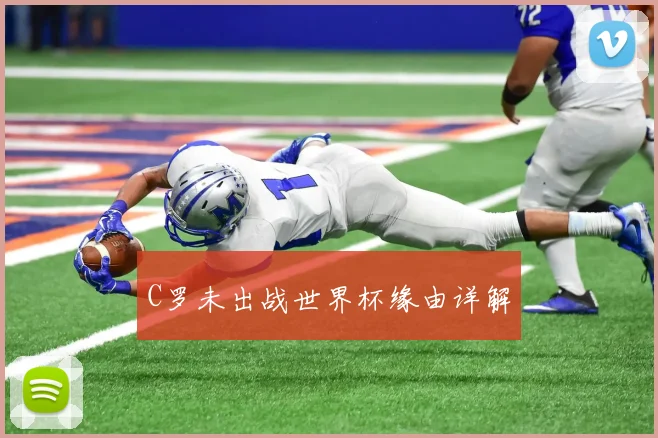 C罗未出战世界杯缘由详解